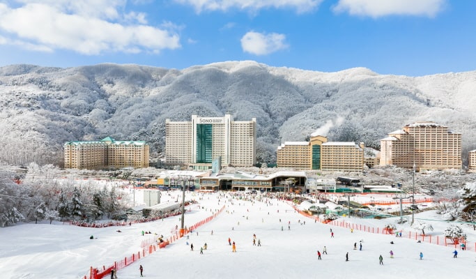 Vivaldi Park Ski Resort & Eobi Ice Valley: 1 Day Ski/Snowboard/Sled Tour - from Seoul