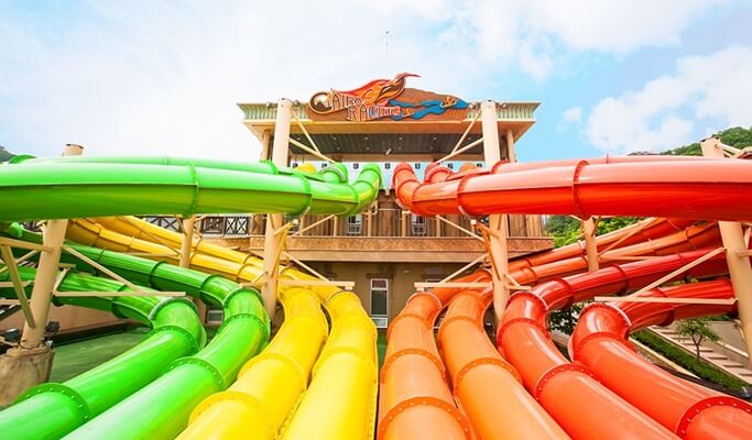 Ocean World Water Park & Nami Island 1 Day Tour (~Aug)