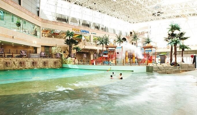 Ocean World Water Park & Nami Island 1 Day Tour (~Aug)