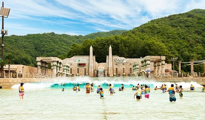 Ocean World Water Park & Nami Island 1 Day Tour (~Aug)