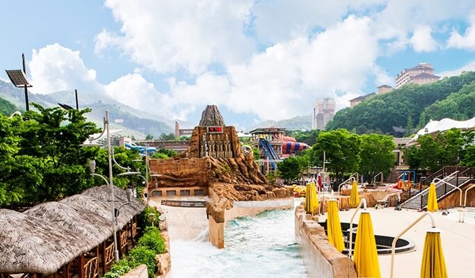 Ocean World Water Park & Nami Island 1 Day Tour (~Aug)