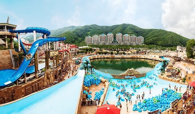Ocean World Water Park & Nami Island 1 Day Tour (~Aug)