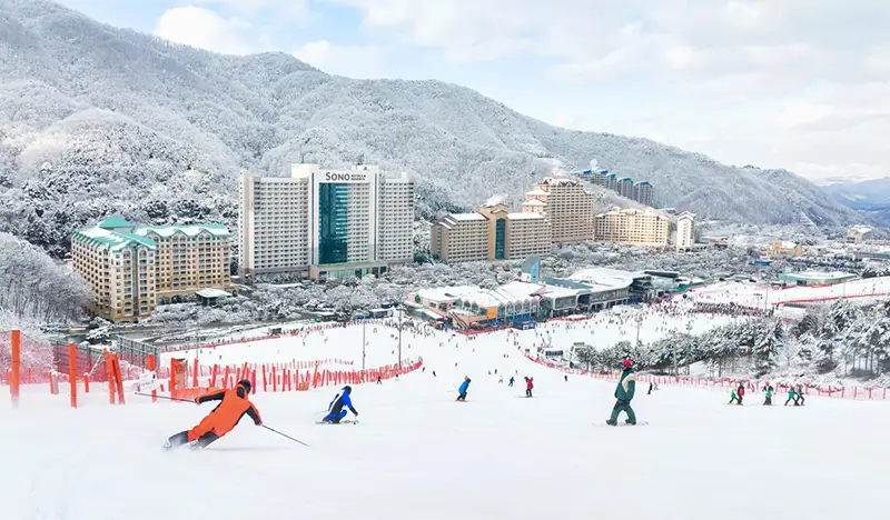 Vivaldi Park Ski Resort: 1 Day Ski/Snowy Land Snow Sled Tour - from Seoul