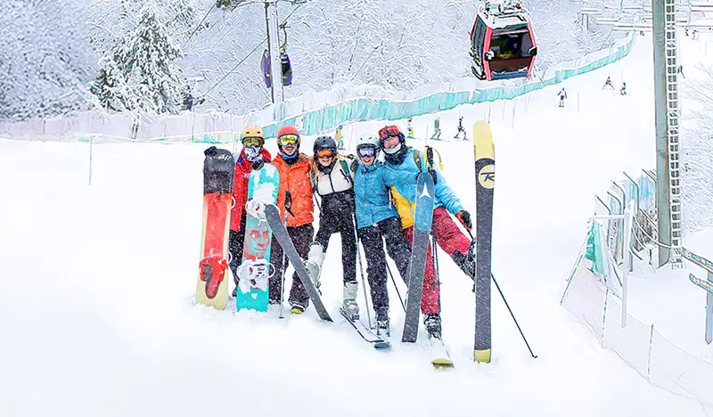 Vivaldi Park Ski Resort: 1 Day Ski/Snowy Land Snow Sled Tour - from Seoul - view 1