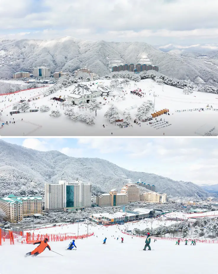 Snowy landscape at Vivaldi Park Ski Resort in Korea