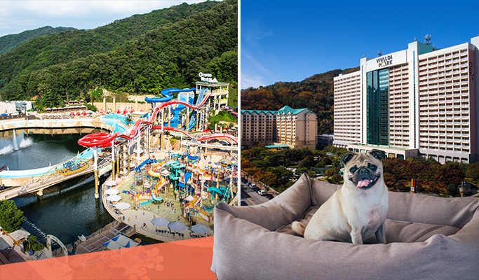 Vivaldi Park (Ocean World) Pet Room All Inclusive Summer Package: Room + Breakfast + Ocean World + Activities (+Private Transfer option)