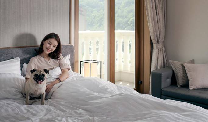Vivaldi Park (Ocean World) Pet Room All Inclusive Summer Package: Room + Breakfast + Ocean World + Activities (+Private Transfer option)