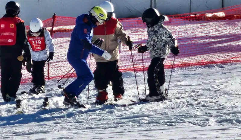 Vivaldi Park Ski Resort Private Tour from Seoul/ICN (with Ski/Snowboard Lesson) - view 2