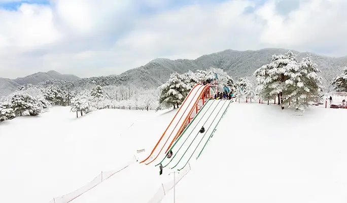 Strawberry Picking + Vivaldi Park Snowy Land Snow Sled + Eobi Ice Valley 1 Day Tour - from Seoul