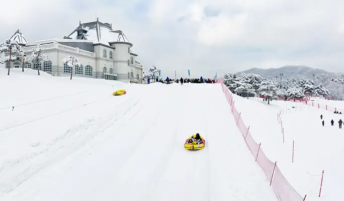 Strawberry Picking + Vivaldi Park Snowy Land Snow Sled + Eobi Ice Valley 1 Day Tour - from Seoul