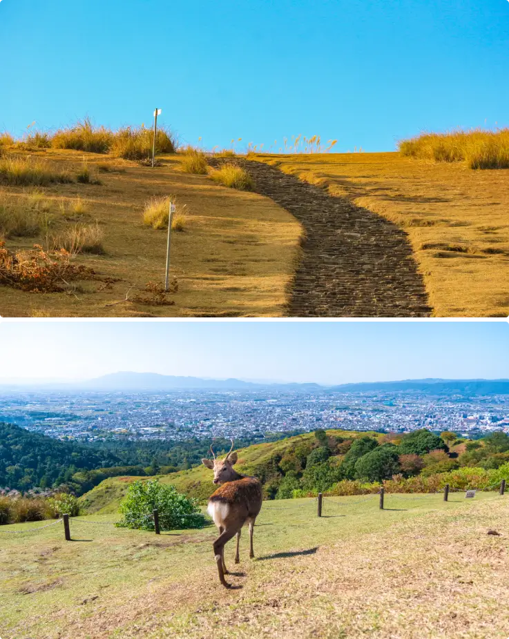 Panoramic view of Nara City from Mount Wakakusa
