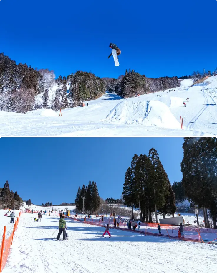 Smooth, powdery snow and multiple ski runs of different difficulty levels at Washigatake Ski Resort.