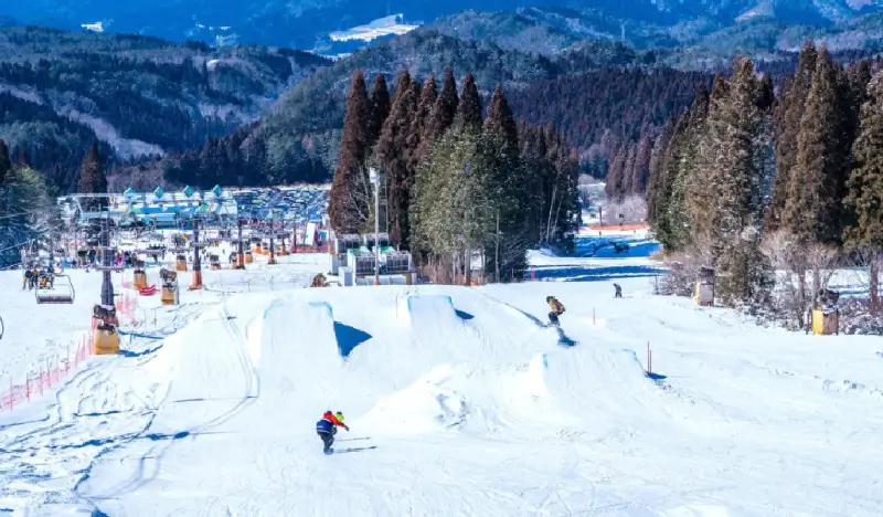 Washigatake Ski Resort: 1 Day Shuttle Bus Package from Hida Takayama  (with Optional Lift Pass/Equipment/Clothes Rental) - view 1