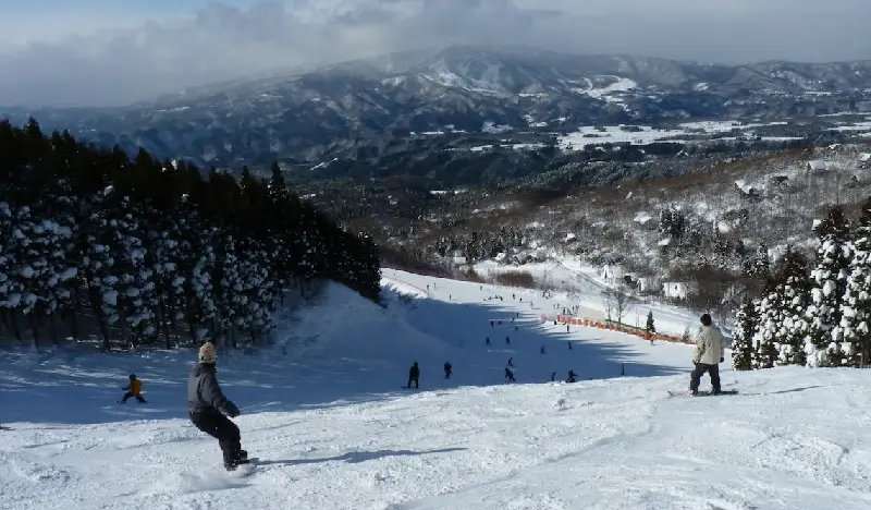 Washigatake Ski Resort: 1 Day Shuttle Bus Package from Hida Takayama  (with Optional Lift Pass/Equipment/Clothes Rental) - view 2