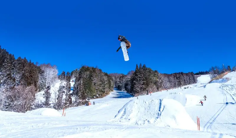 Washigatake Ski Resort: 1 Day Shuttle Bus Package from Nagoya (with Optional Lift Pass/Equipment/Clothes Rental)