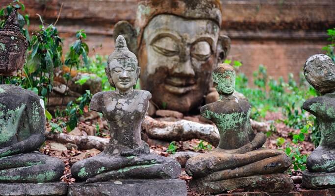 Wat Umong & Wat Phra That Doi Suthep Evening Tour in Chiang Mai (Join-in/Private)