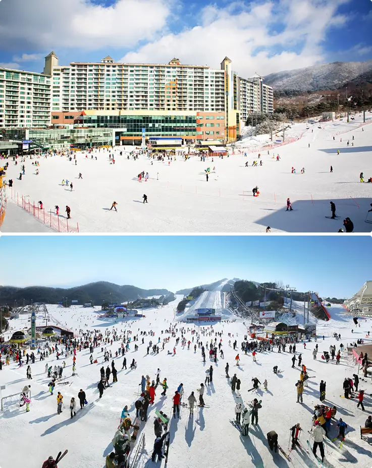 Wide view of Welli Hilli Park ski resort with skiers and snowboarders on snow-covered slopes.