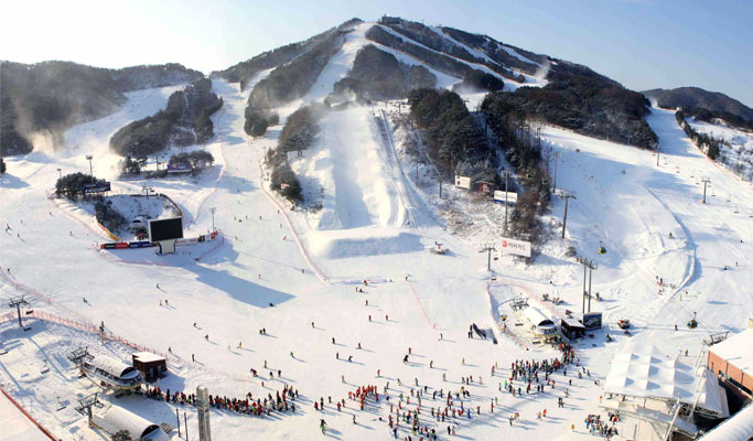 1 Day Ski Tour: Welli Hilli Park Ski Resort from Seoul