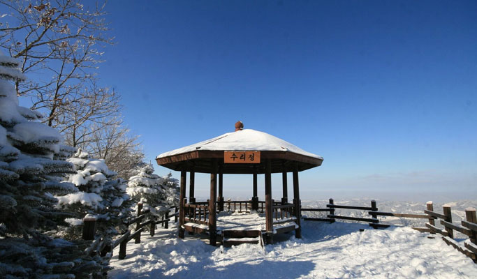Welli Hilli 公園滑雪場：首爾出發雙板滑雪/單板滑雪一日遊