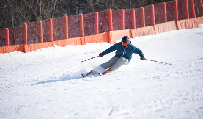Welli Hilli Park Ski Resort: Private Ski/Snowboard Lesson (Lesson Only)