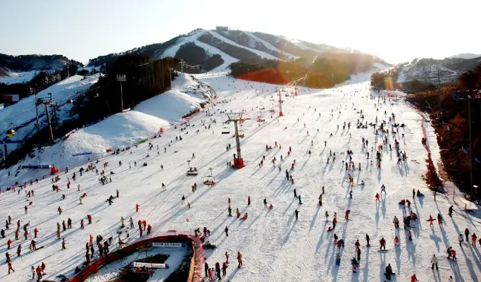 Welli Hilli Park Ski Resort: Private Ski/Snowboard Lesson (Lesson Only)