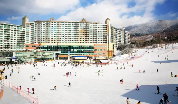 Welli Hilli Park Ski Resort 1 Day Ski/Snowboard Tour from Seoul
