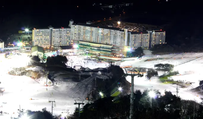 Welli Hilli Park Ski Resort 1 Day Ski/Snowboard Tour from Seoul