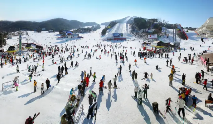 Welli Hilli Park Ski Resort 1 Day Ski/Snowboard Tour from Seoul