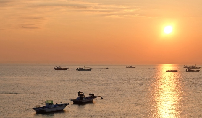 West Sea Sunset Tour: Jebudo Sea Parting Water Walk + West Sea Ports 1 Day Tour (+fishing option) (Join-in/Private)