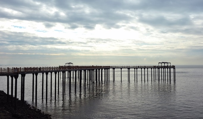West Sea Sunset Tour: Jebudo Sea Parting Water Walk + West Sea Ports 1 Day Tour (+fishing option) (Join-in/Private)