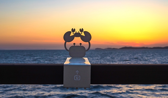 West Sea Sunset Tour: Jebudo Sea Parting Water Walk + West Sea Ports 1 Day Tour (+fishing option) (Join-in/Private)