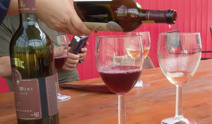 Korean Wine Tasting Tour: Gwangmyeong Cave Wine Cellar + Grand Coteau Winery 1 Day Tour (Join-in/Private)