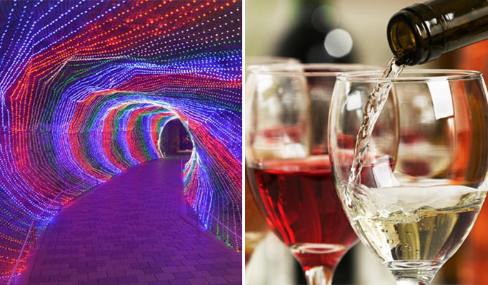 Korean Wine Tasting Tour: Gwangmyeong Cave Wine Cellar + Grand Coteau Winery 1 Day Tour (Join-in/Private)