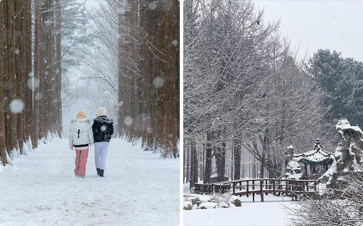 Visitors walking along a snow-covered tree-lined path on the left, with snow-covered Nami Island on the right