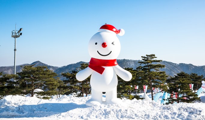 Vivaldi Park Snowy Land Snow Sled + Nami Island 1 Day Tour