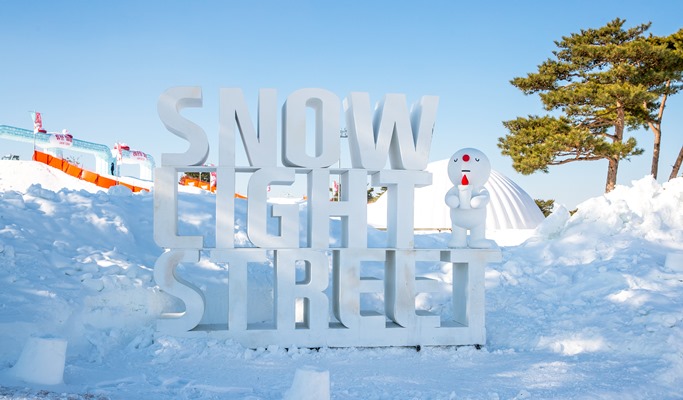 Vivaldi Park Snowy Land Snow Sled + Nami Island 1 Day Tour