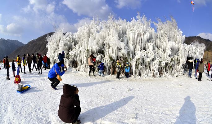 Winter Festivals Shuttle Bus Package: Seoul ↔ Hongcheon / Daegwallyeong / Inje (Jan 10~27)