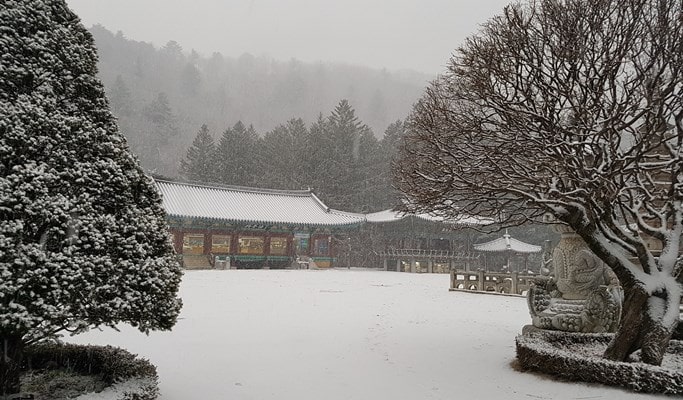 Pyeongchang & Gangneung Private Tour (from Pyeongchang & Gangneung)