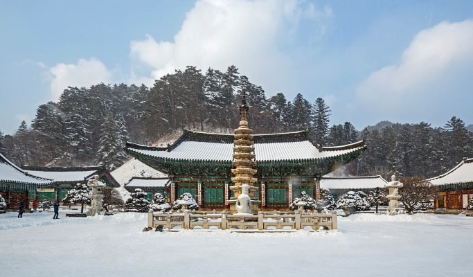 Private Tour from Yongpyong/Alpensia Ski Resort (Half Day/Full Day): Seoraksan/ Pyeongchang Trout Festival/ Gangneung City & more