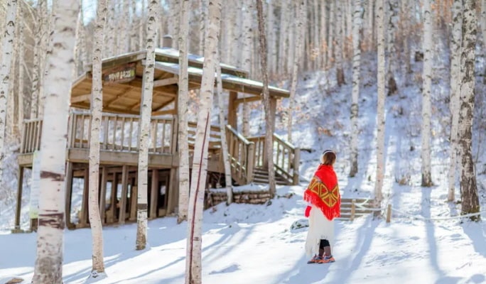 Winter Hiking: In-je Maebawi Icewall & Wondae-ri Birch Forest/ Seoraksan National Park 1 Day Tour (Dec 15~Feb 28)