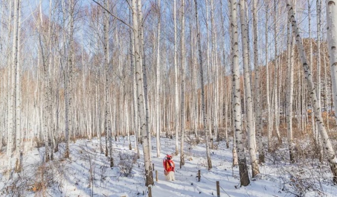 Winter Hiking: In-je Maebawi Icewall & Wondae-ri Birch Forest/ Seoraksan National Park 1 Day Tour (Dec 15~Feb 28)