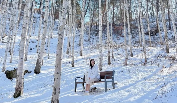 Winter Hiking: In-je Maebawi Icewall & Wondae-ri Birch Forest/ Seoraksan National Park 1 Day Tour (Dec 15~Feb 28)