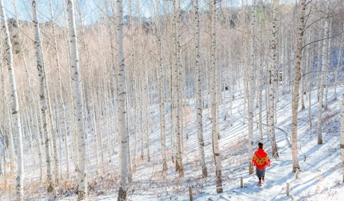 Winter Hiking: In-je Maebawi Icewall & Wondae-ri Birch Forest/ Seoraksan National Park 1 Day Tour (Dec 15~Feb 28)