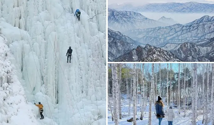 Winter Hiking: In-je Maebawi Icewall 1 Day Tour