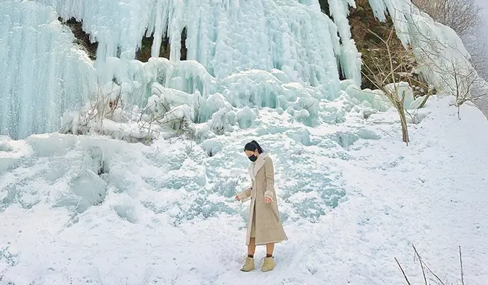 Winter Hiking: In-je Maebawi Icewall & Wondae-ri Birch Forest/ Seoraksan National Park 1 Day Tour (Dec 15~Feb 28)