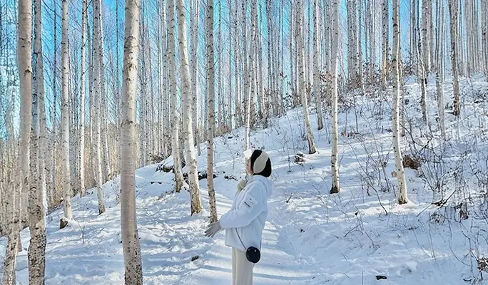 Winter Hiking: In-je Maebawi Icewall & Wondae-ri Birch Forest/ Seoraksan National Park 1 Day Tour (Dec 15~Feb 28)