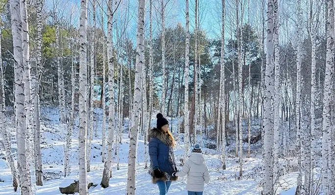 Winter Hiking: In-je Maebawi Icewall & Wondae-ri Birch Forest/ Seoraksan National Park 1 Day Tour (Dec 15~Feb 28)