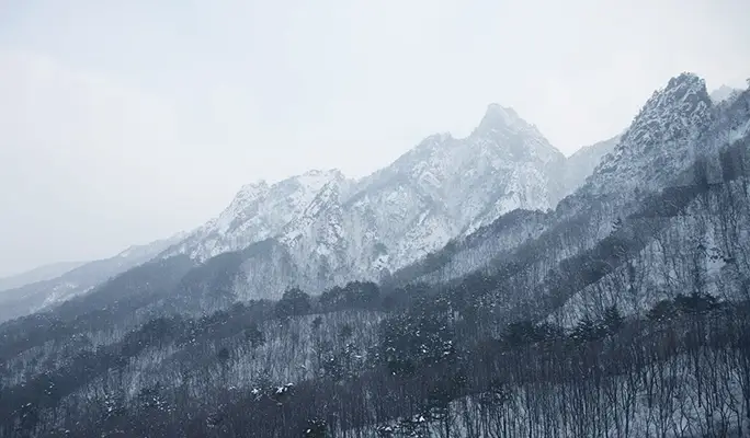 Winter Hiking: In-je Maebawi Icewall & Wondae-ri Birch Forest/ Seoraksan National Park 1 Day Tour (Dec 15~Feb 28)