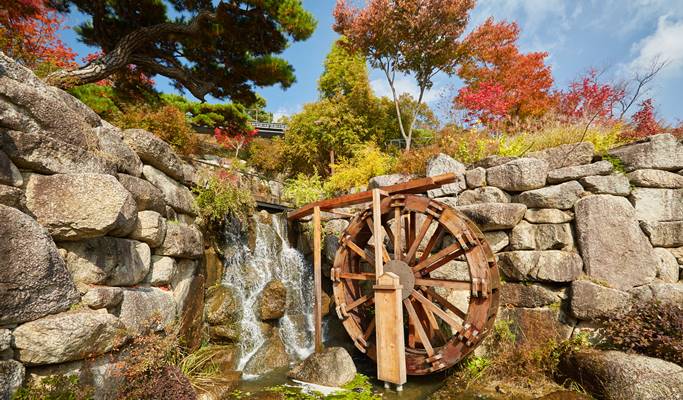 Wonju Suspension Bridge & Hwadam Botanic Garden/OOZOO Illumination Garden 1 Day Tour