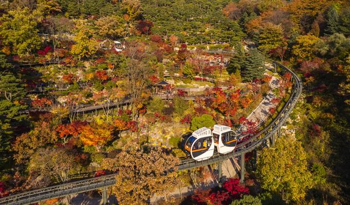 Wonju Suspension Bridge & Hwadam Botanic Garden/OOZOO Illumination Garden 1 Day Tour